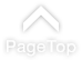 Pagetop